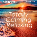 Aleh Famin - Totally Calming Relaxing ()