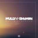 Mully & Shvman & Maml - Frequency (Original Mix)