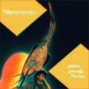 Deliriously Serious  - Roadrunner (Nikki Manos Remix)