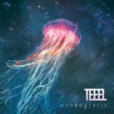 Teeel - Disk Go
