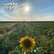 Ruimte Vogel - Nothing