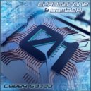 Chromatone, Samadhi - Cyber Salad