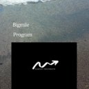 Bigmile - Program