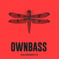 OWNBASS - Zone