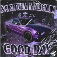 SPIRITUUM MALIGNUM & KXUDV & COPYBARAMANE - FINAL PUNCHER