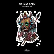 Seumas Norv - Falling For You