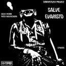 Synthtetizer Project - SALVE REGINA