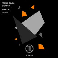Alfonso Llovera - Everybody