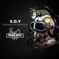 V.O.Y - Digital Consciousness