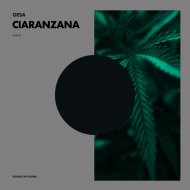 GESA - Towards Cosmic Landcapes