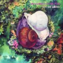 Luka Sambe, Filter Bear, Liz Cirelli - Afterthen