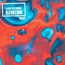 Gino Colombi - Elevation