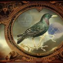 Agent Starling - Hellebore