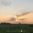 Ruimte Vogel - Analogistics (Original Mix)