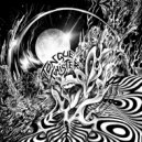 Disobedient Perception - Nunchago åge