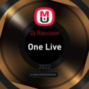 Dj Vl Raccoon - One Live (Original)