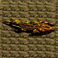 C21H23NO5 - swamp toad