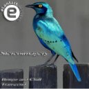 Stereoimagery - Transcend