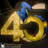 Vlada Asanin, Bilja Krstic - Caje Sukarije