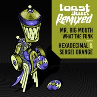 Mr. Big Mouth - What The Funk