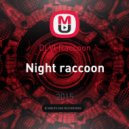 Dj Vl Raccoon - Night raccoon (mix)