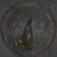 Hilyard - fragile wraith