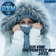 Djs Vibe - The Perffect Mix 2023 (DNDM)
