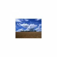 Sleep BGM Mindfulness - Sleep BGM Tolstoy and Anxiety