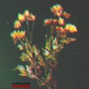 Trompett X - With You