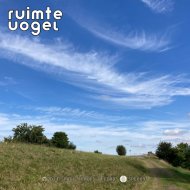 Ruimte Vogel - Seeing All