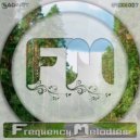 Saginet - Frequency Melodies 007