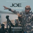 Joe and the BROS Band - Freedom