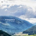 Trompett X - Calm Down