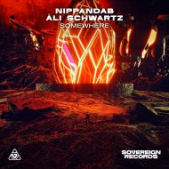 Nippandab & Ali Schwartz - Somewhere