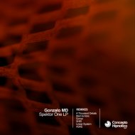 Gonzalo MD & ASKE - No Time For Long Sequences