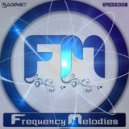 Saginet - Frequency Melodies 008