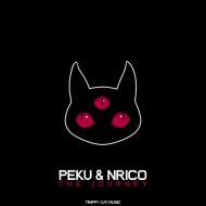 Peku & Nrico - The Journey