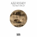 Aziz Roshdy - Shadow Of Light (Original Mix)