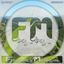 Saginet - Frequency Melodies 009