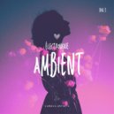 The Other Face - Aminah