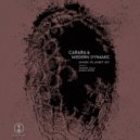 Carara, Modern Dynamic - Dark Planet (Original Mix)