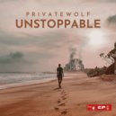PrivateWolf - Hardtech