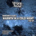 Demcore & Kaeli - Warmth In A Cold Night