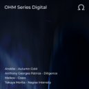 Anthony Georges Patrice - Diligence (Original Mix)
