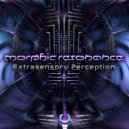 Morphic Resonance - Insanity