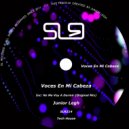 Junior Legh - Voces En Mi Cabeza (Original Mix)