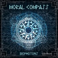 Biophotons - Present Experience