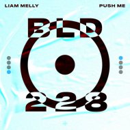 Liam Melly - Push Me