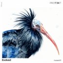 Evolved - I Should Have Known