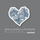 Artful, Ridney, Terri Walker - Missing You (Artful\'s Missing Ibiza Sunset Mix)